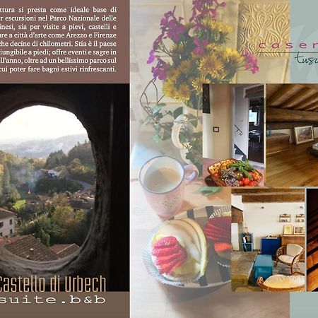 Castello Di Urbech Appartement Pratovecchio Buitenkant foto