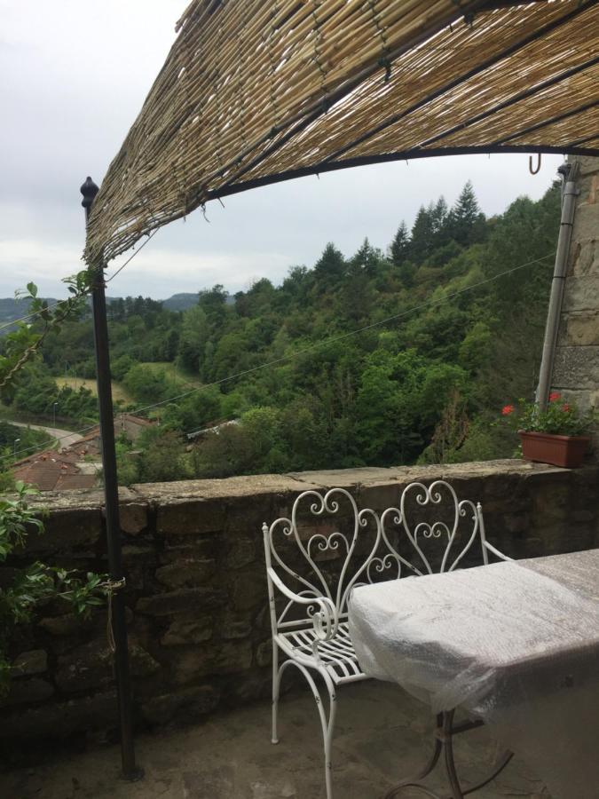 Castello Di Urbech Appartement Pratovecchio Buitenkant foto