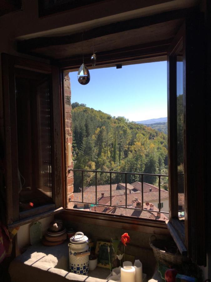 Castello Di Urbech Appartement Pratovecchio Buitenkant foto