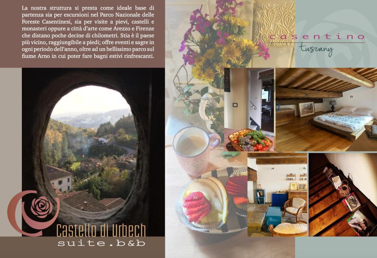 Castello Di Urbech Appartement Pratovecchio Buitenkant foto